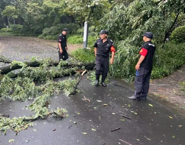C:/Users/BA/Desktop/風(fēng)雨過后南京保安迅速行動，恢復(fù)安“寧”面貌/7.jpg7